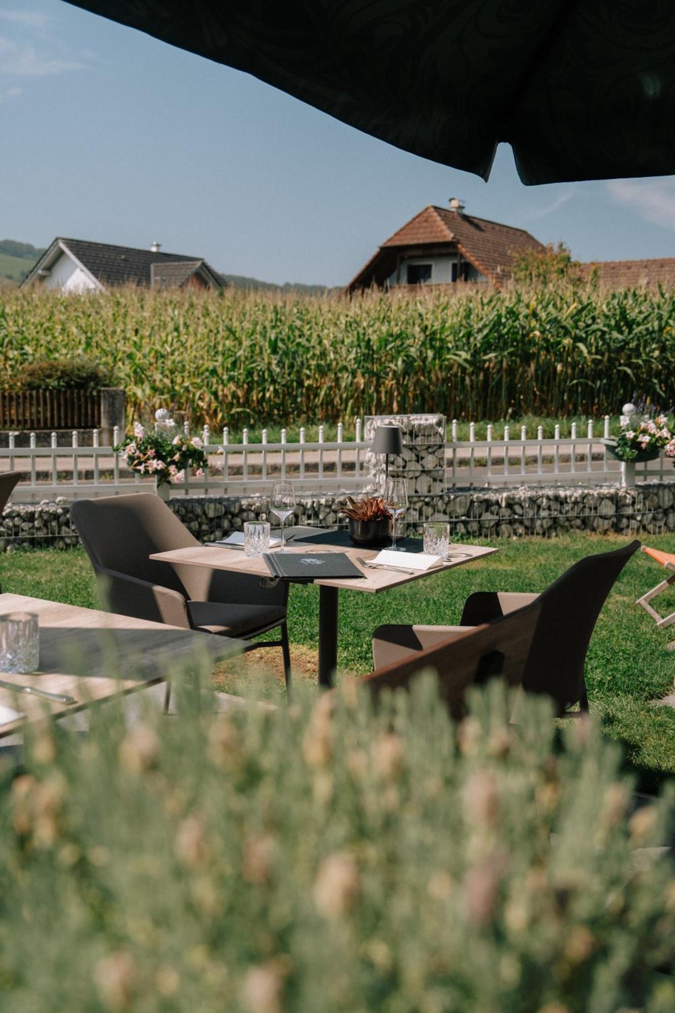 Alpenblick Hotel